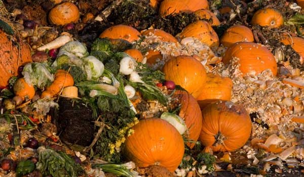 Why Food Waste in the UK will Only Increase